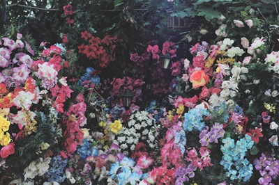 tumblr_l2fld1XQVK1qahk68o1_500_large