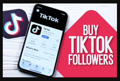 TikTok Followers