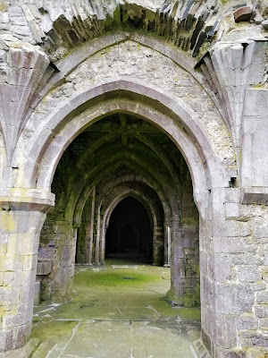 Kilcooley Abbey, Tipperary.