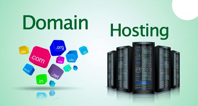 Domain Support in Pakistan