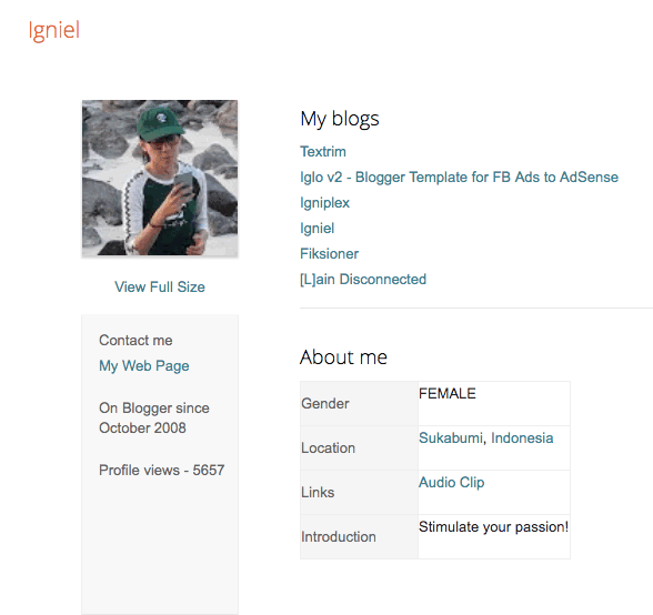 Igniel Blogger Profile