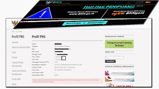 We Site BKN Cara CEk SK dan Data PNS 