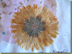 DSCF0009