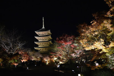 京都　東寺　紅葉ライトアップ