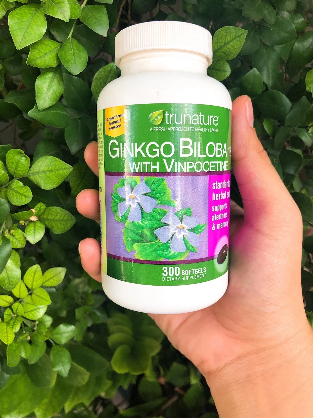 Viên Uống Bổ Não Ginkgo Biloba 120Mg