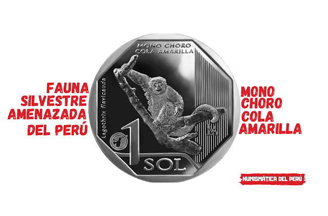 Moneda alusiva al mono choro cola amarilla