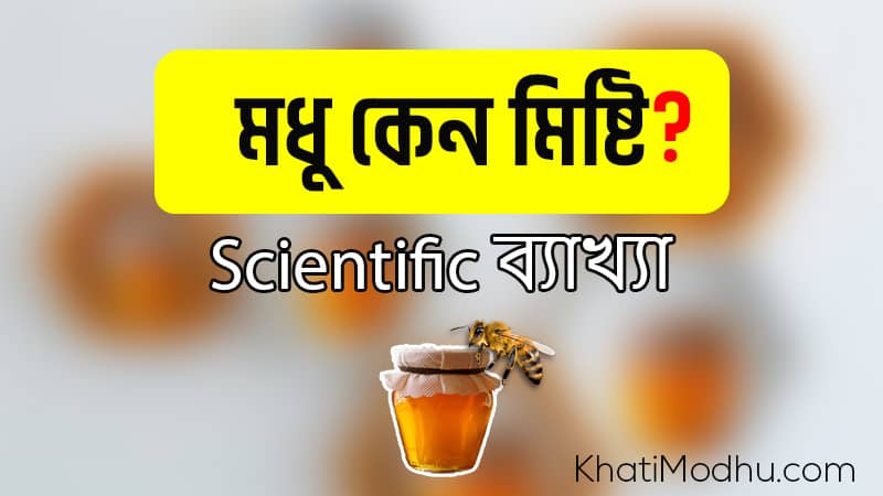 মধু মিষ্টি কেন? Scientific তথ্য জানুন