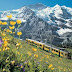 Switzerland is a stunning country filled with incredible places to visit.  