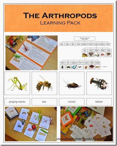 arthropodLearning