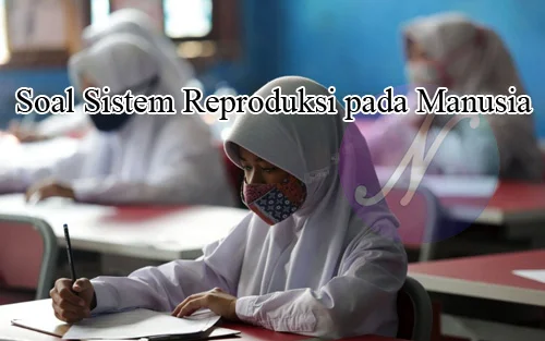 Soal Sistem Reproduksi pada Manusia