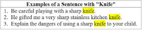 25 Examples of a Sentence with "knife."