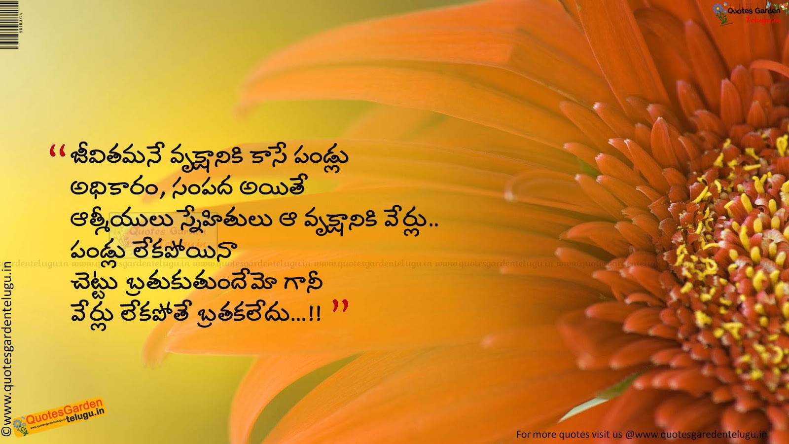 Heart touching friendship quotes in telugu 1049  QUOTES 