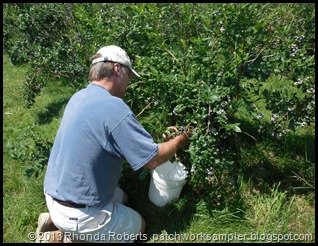 Jim Picking