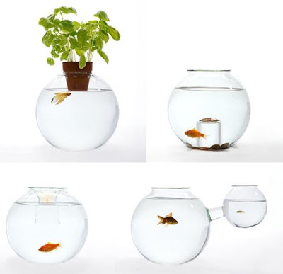 14 Creative and Cool Fishbowl Designs (14) 6