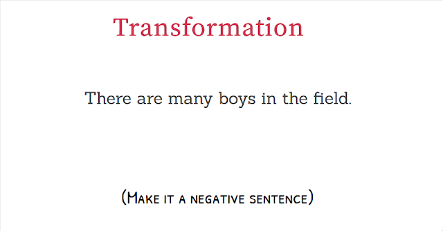 There are many boys in the field Negative Sentence