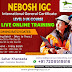 What jobs can you get with NEBOSH Qualification?