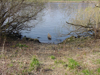 uiterwaarden,wateropvangbekken