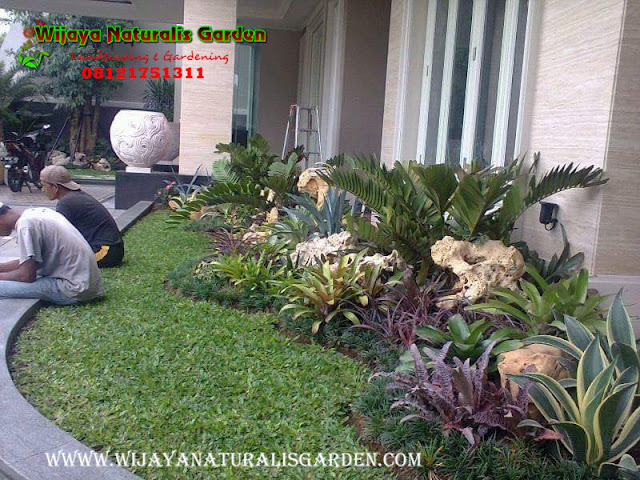 Tukang Taman Surabaya,Tukang Taman Surabaya Garden Center,Tukang Taman Surabaya Jasa pembuatan taman dan kolam minimalis Surabaya,Tukang Taman Surabaya alam asri,Tukang Taman Surabaya,Tukang Taman Surabaya murah,Tukang Taman Surabaya barat,Tukang Taman di Surabaya,Harga Tukang Taman Surabaya,Tukang Taman Murah di Surabaya,Jasa Tukang Taman di Surabaya,Tukang Buat Taman di Surabaya,Jasa Tukang Taman Surabaya,Tukang Taman Murah Surabaya,Tukang Taman di Surabaya,Tukang Taman Surabaya Wijaya Naturalis,Tukang Pembuatan Taman Surabaya,Ahli Tukang Taman di Surabaya,Tempat Tukang Pembuatan Taman di Surabaya,Jasa Tukang Pembuatan Taman di Surabaya,Lokasi Tukang Pembuatan Taman di surabaya,Alamat Tukang Pembuatan Taman di Surabaya,Tempat Tukang Pembuatan Taman Surabaya,Jasa Tukang Pembuatan Taman Surabaya,Lokasi Tukang Pembuatan Taman Surabaya,Alamat Tukang Pembuatan Taman Surabaya