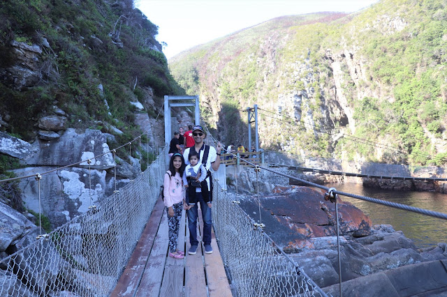 Suspension Bridge, Tsitsikamma National Park, South Africa