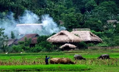 Nhớ quê