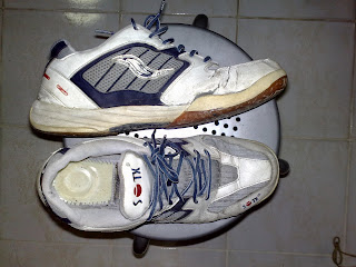 SOTX Badminton Shoes