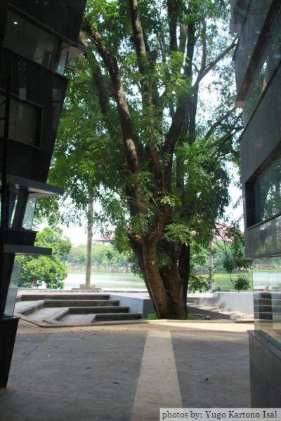 Perpustakaan Universitas Indonesia (UI)