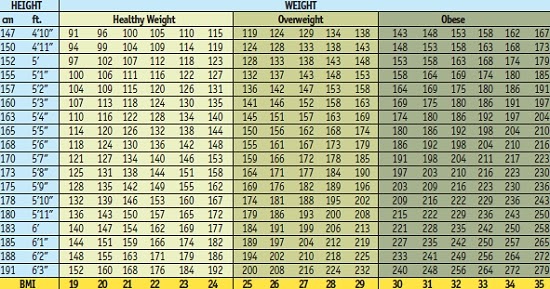 Ultimate Fettle Studio Bmi Body Mass Index