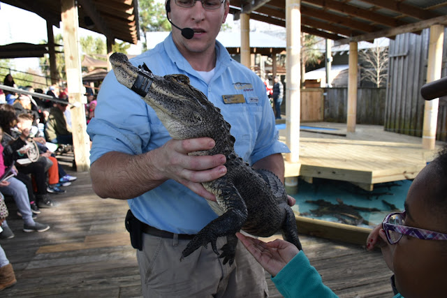 Ringing in The New Year at Myrtle Beach   via   www.productreviewmom.com