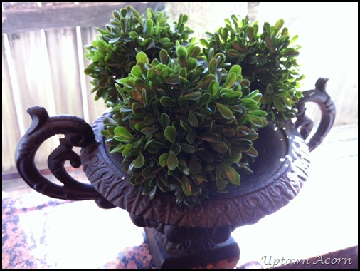 photo_2
