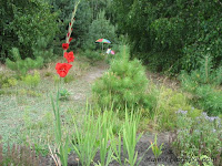 parasol plażowy