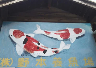 横浜 上大岡 野本養魚場