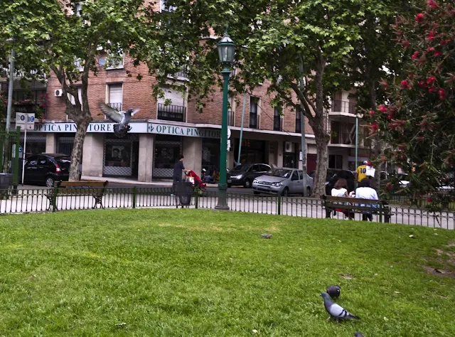 Plaza,gente y palomas