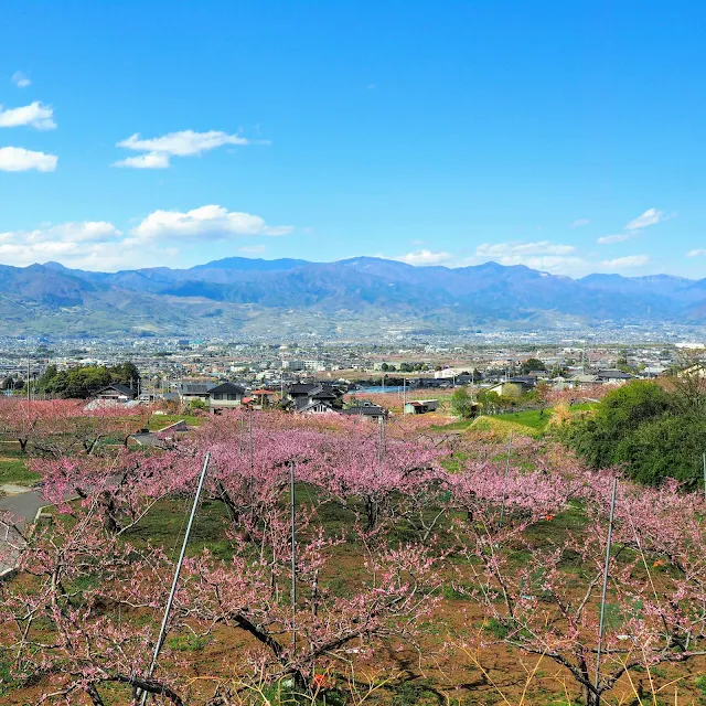 みやさか道　桃園