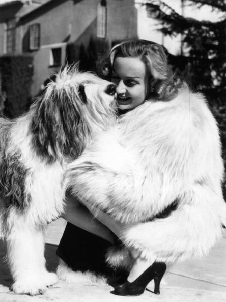 Puppies Princesses Carole Lombard