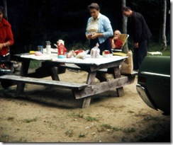 img246