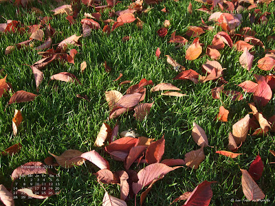 Feuilles mortes, avenue Foch - Fond d'écran de novembre 2011, avec et sans calendrier