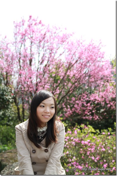 2010陽明山花季-觀景亭