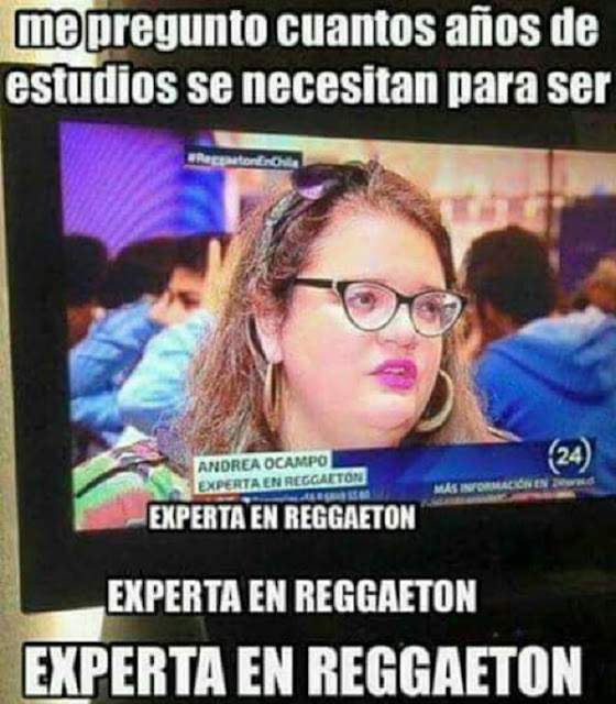 Experta en reggaeton