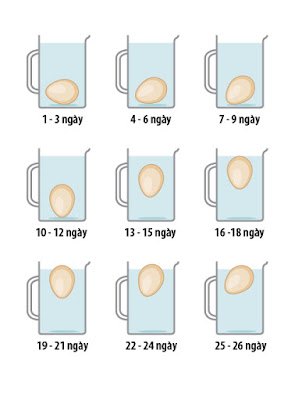 Cách phân biệt trứng mới cũ