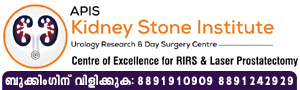APIS-Kidney-Stone-Institute 24/12/2022