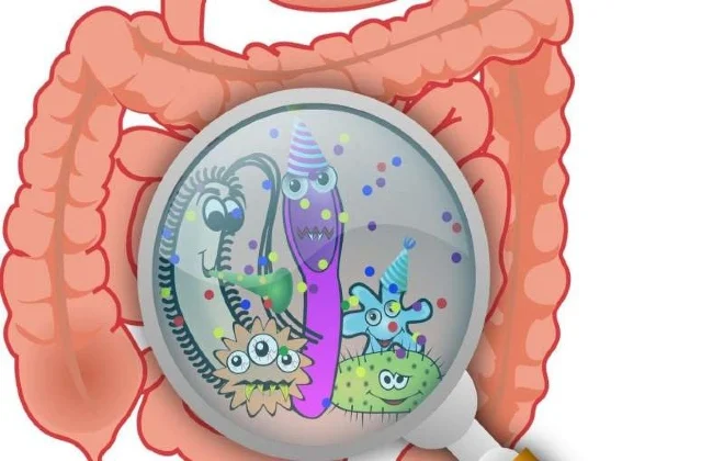 Gut Microbiome