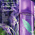 Elizabeth Arden Green Tea Lavender 100ml EDT