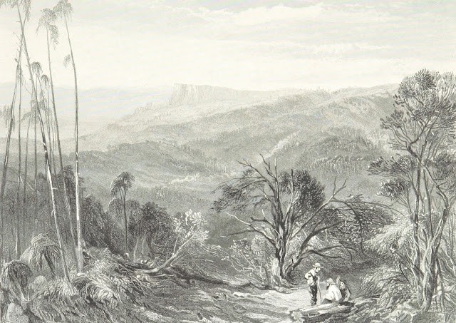 The Dandenong Ranges Victoria (A Day's Ramble) 1868