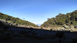 Pendakian Gunung Pangrango - Menapaki Lembah Mandalawangi