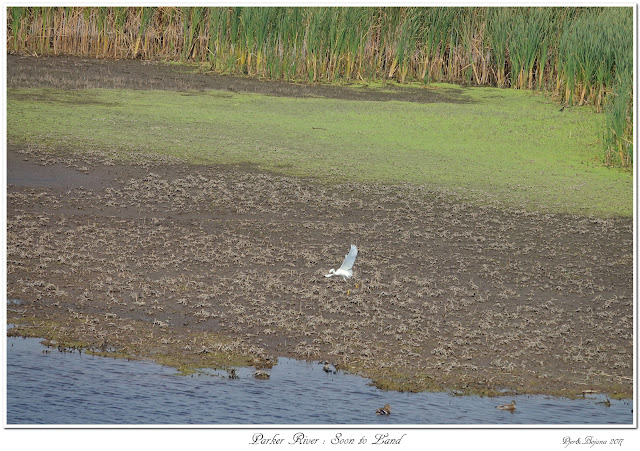 Parker River: Soon to Land