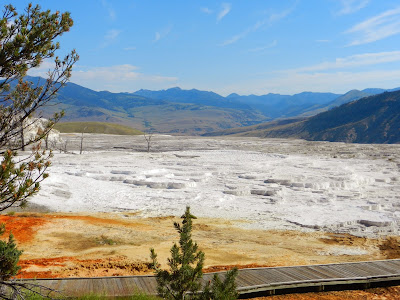 Mammoth Hot Springs Yellowstone Wyoming