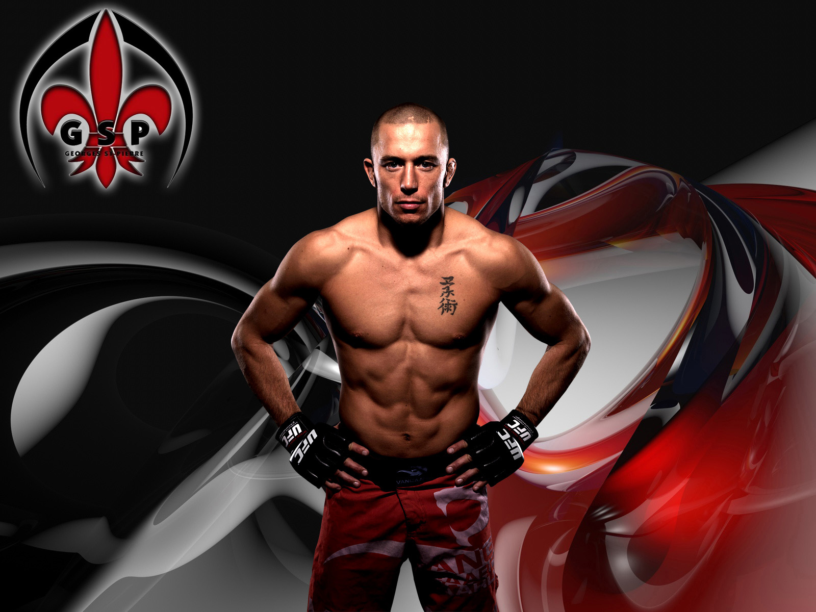 ... ultimate fighting championship mma mixed martial arts wallpaper