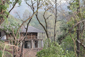 Meditation Cottage, Sattal India