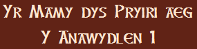 Yr Mamy dys Pryiri aeg Y nawydlen 1