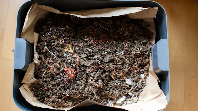 Vermikompos: Produksi Pupuk Organik dengan Mengolah Sampah